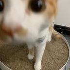 嘻嘻哈哈头像