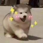 冲鸭！头像
