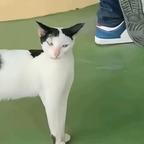 老吴头像