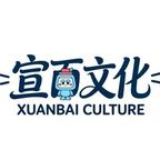 宣百AI剧场头像
