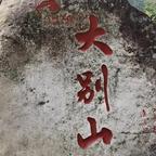 爱吃苜蓿肉的虚真头像