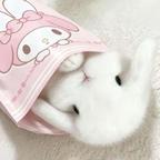 暴走兔兔头像