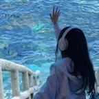 海叙🌊头像