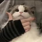 沉默头像