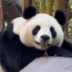 katrina丽娜头像