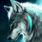 听风的狼🐺🐺🐺头像