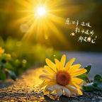 向日葵头像