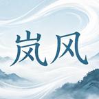 岚风网络头像