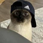 福啦头像