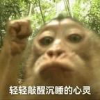 等风来、！头像