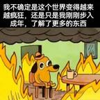 峰青子木头像