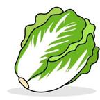 给本公主嗑一个头像