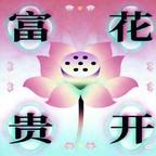 沙漠遗产头像