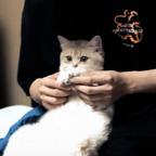 Ya_ieuo^头像