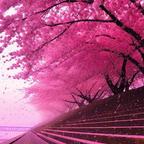 明天你好头像