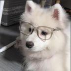 耿耿头像