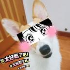 但凡有颗花生米头像