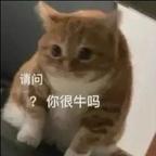 钟大炮头像