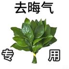 巧克力定糕糕🍫头像