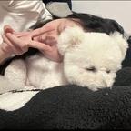 🌙加贝～头像