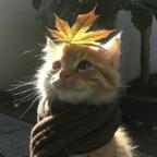 追剧小能手头像