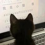 我只想当只猫头像