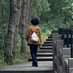 白絮飘飞时头像