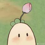 焰焰同学头像