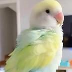 ❤️❤️❤️头像