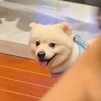 脑  子一扔就是看头像