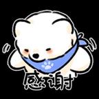 断魂谷的青羽头像