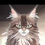 穷猫头像