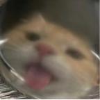 品鉴ing头像