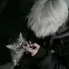 技击传人孟辰头像
