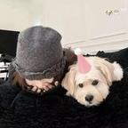 就爱看甜死人的剧头像
