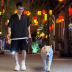 寒风灬飘叶头像