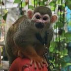 满船幽梦压星河头像