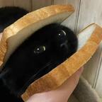 爱吃虾酱豆腐头像
