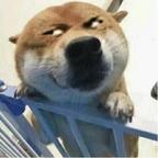 呵呵哒头像