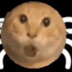 叮咚哈气咪头像