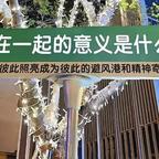 余生请多指教头像