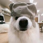 泪的吻痕头像