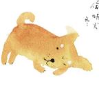 panda头像