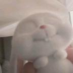 白毛控头像