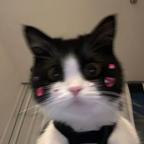 疯狂星期四代吃小吴头像