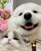 苦瓜不苦头像