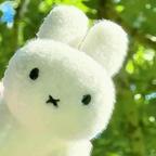 HLINNA头像