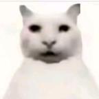 O.o头像