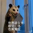啊哈Ahahahah头像