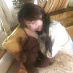困困魚头像